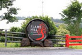 Flame Hill Vineyard image 3