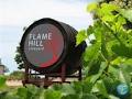 Flame Hill Vineyard image 6