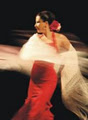 Flamenco Dance Areti logo