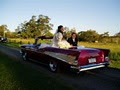 Flamin Awesome Wedding Cars logo