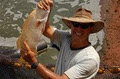 FlickingFresh Barra Fishing image 1