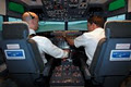 Flight Experience WA image 3