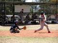 Flinders University Baseball Club image 6