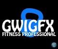 GWIGFX image 3