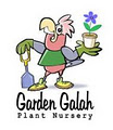 Garden Galah Plant Nursery image 2