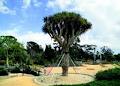Geelong Botanic Gardens image 1