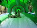Giggling Geckos Jumping Castle Hire image 5