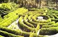 Glengarry Bush Maze image 3