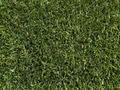 Go Green Artificial Lawns image 2