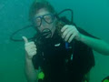 Gone Diving Hervey Bay image 3