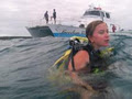 Gone Diving Hervey Bay image 1