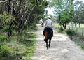 Grampians Horse Riding Adventures image 5
