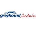 Greyhound Australia image 5