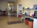 Gunnedah Veterinary Hospital image 1