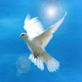 Heavenly Doves logo