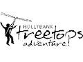 Hollybank Treetops Adventure image 5