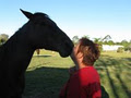 Horse Whispers - Natural Equine Therapies & Services - Warwick QLD image 4