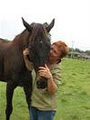 Horse Whispers - Natural Equine Therapies & Services - Warwick QLD logo
