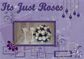 Its Just Roses logo