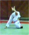 Jiu Jitsu - bjj - Jujitsu - mma - judo - grappling , Geelong logo