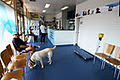 Joondalup Central Veterinary Hospital image 5