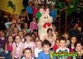 Junglemania Kids Indoor Play Centre image 6