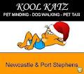 Kool Katz Pet Minding/Sitting and Dog Walking logo