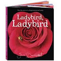 Ladybird Shop - Institute of Cute! image 2