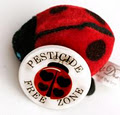 Ladybird Shop - Institute of Cute! image 4