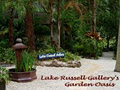 Lake Russell Gallery / Cafe / Gifts / Luxury Self Contained Retreat image 2