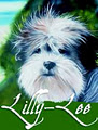 Lilly-Lee Gallery image 2