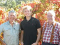 Linfield Road Wines image 2