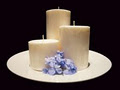 Little Wix Online Candle Store logo