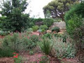 Mambourin Sensory Garden image 2