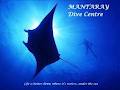 Mantaray Dive Centre image 4