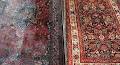 Milton Cater Oriental Carpets image 4