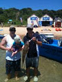 Mornington Boat Hire, Bait and Tackle image 6