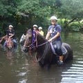 Mount N Ride Rainforest Horseback Tours Cairns image 3