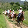 Mount N Ride Rainforest Horseback Tours Cairns image 4