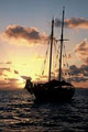 New Horizon Sail and Dive Adventures image 4