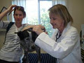 New Lambton Veterinary Clinic image 2