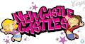 Newcastle Castles image 2
