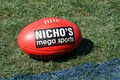 Nicho's Megasports logo