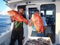Noosa Fishing Charters image 3