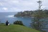 Norfolk Island Specialists image 3