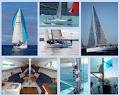 Pacific Yachting image 2