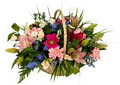 Palmwoods Florist & Gift image 2