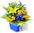 Palmwoods Florist & Gift image 1
