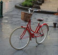 Papillionaire Bicycles (Shop) image 2