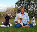 Pawtential Family Dog Training and Behaviour Therapy image 1
